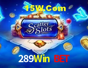 Segurança e performance na plataforma 289Win Bet